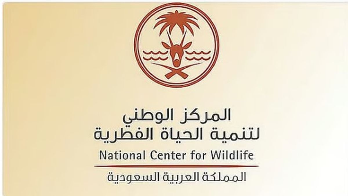 توثيق أكبر تجمع لطيور الغاق الكبير في محمية الجبيل