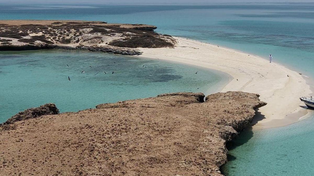 جزر فرسان تحقق ثلاثة اعترافات بيئية عالمية