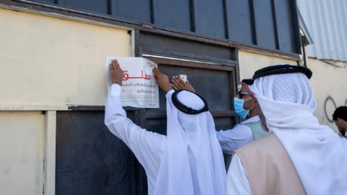 حملة رقابية وتوعوية لتعزيز الامتثال في أسواق المواشي بتبوك