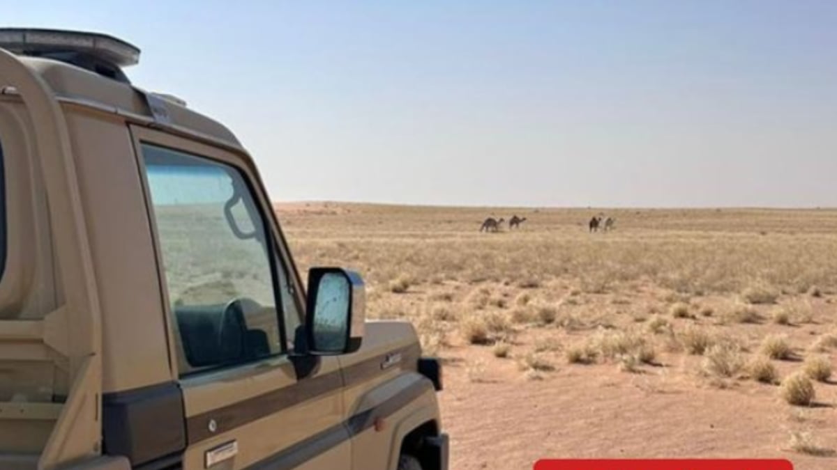 ضبط مواطن بسبب مخالفة رعي في محمية الملك عبدالعزيز
