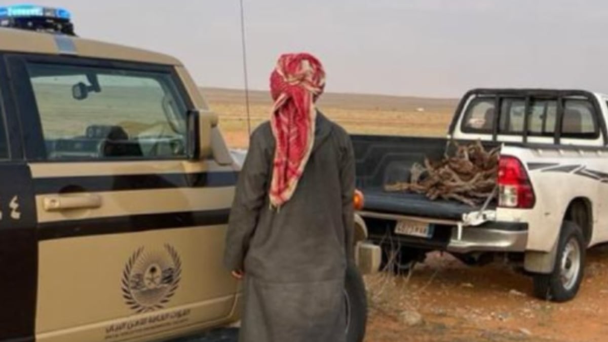 ضبط مواطن لنقله حطبًا محليًا في محمية الإمام تركي بن عبدالله