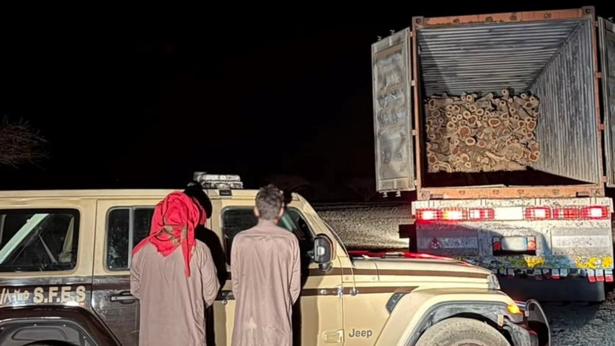 ضبط مواطنين لنقلهما حطبًا محليًا في المدينة المنورة