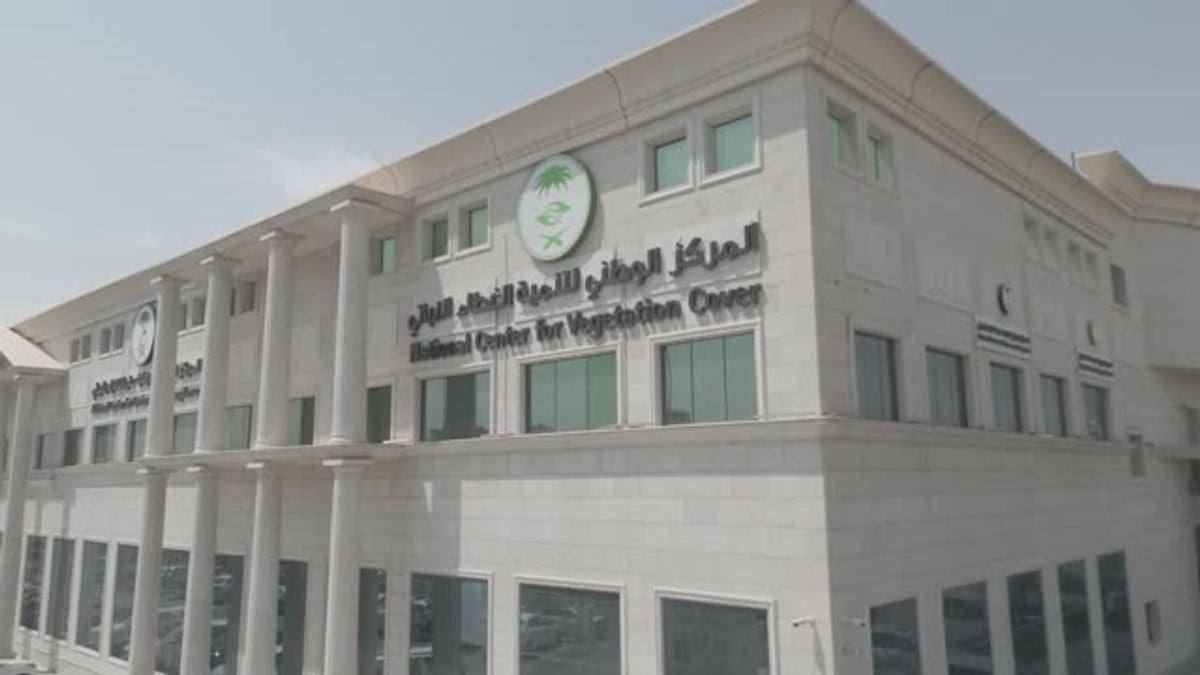 فرص استثمارية جديدة في نجران للغطاء النباتي