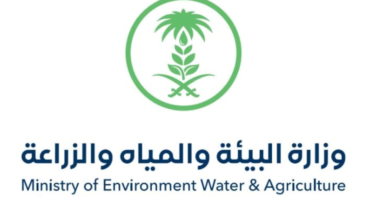 فرص استثمارية لزراعة الفواكه الاستوائية والاستيفيا في جازان