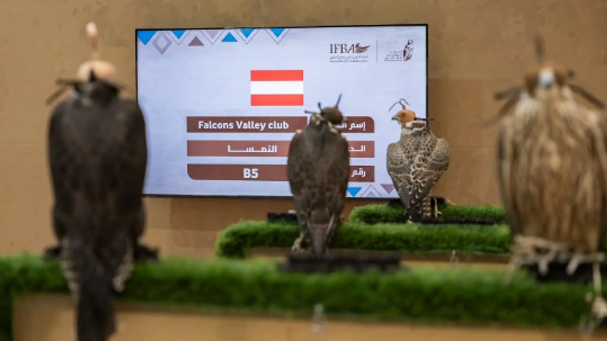 مزاد دولي لمزارع إنتاج الصقور يعزز ثقة المزارع الأوروبية بحسب صقار نمساوي