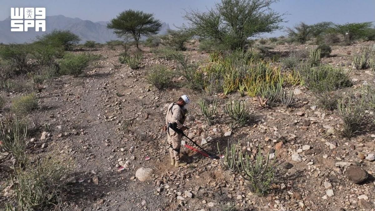 مشروع مسام ينزع 1,836 لغمًا من الأراضي اليمنية في أسبوع واحد