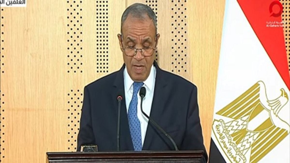 وزير الخارجية المصري يطالب إسرائيل بتنفيذ خطة ترامب لغزة