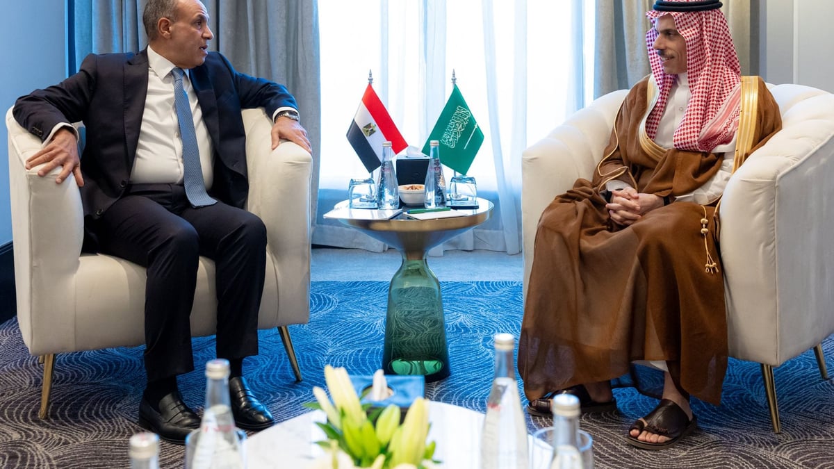 وزير الخارجية يناقش التعاون والأوضاع مع نظيره المصري