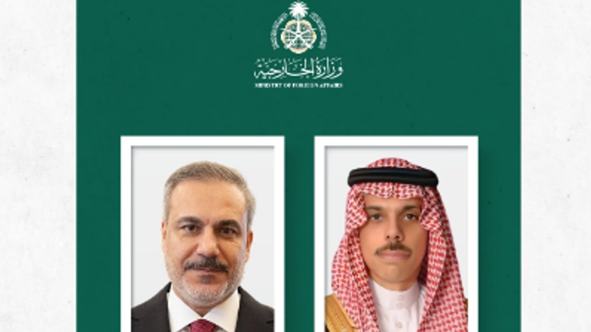 وزير الخارجية يناقش مع نظيره التركي خفض التصعيد وأمن الممرات المائية