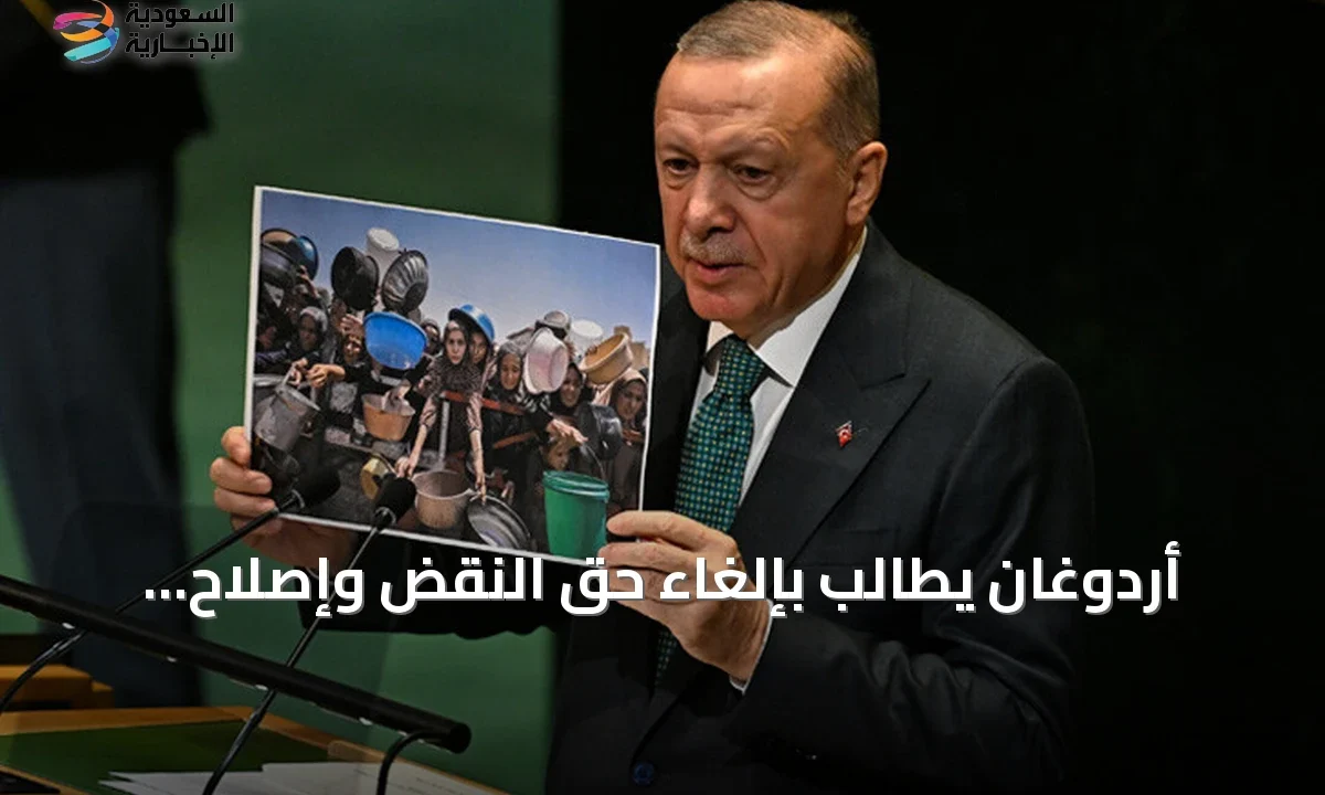 أردوغان: إلغاء الفيتو ضرورة لإصلاح الأمم المتحدة