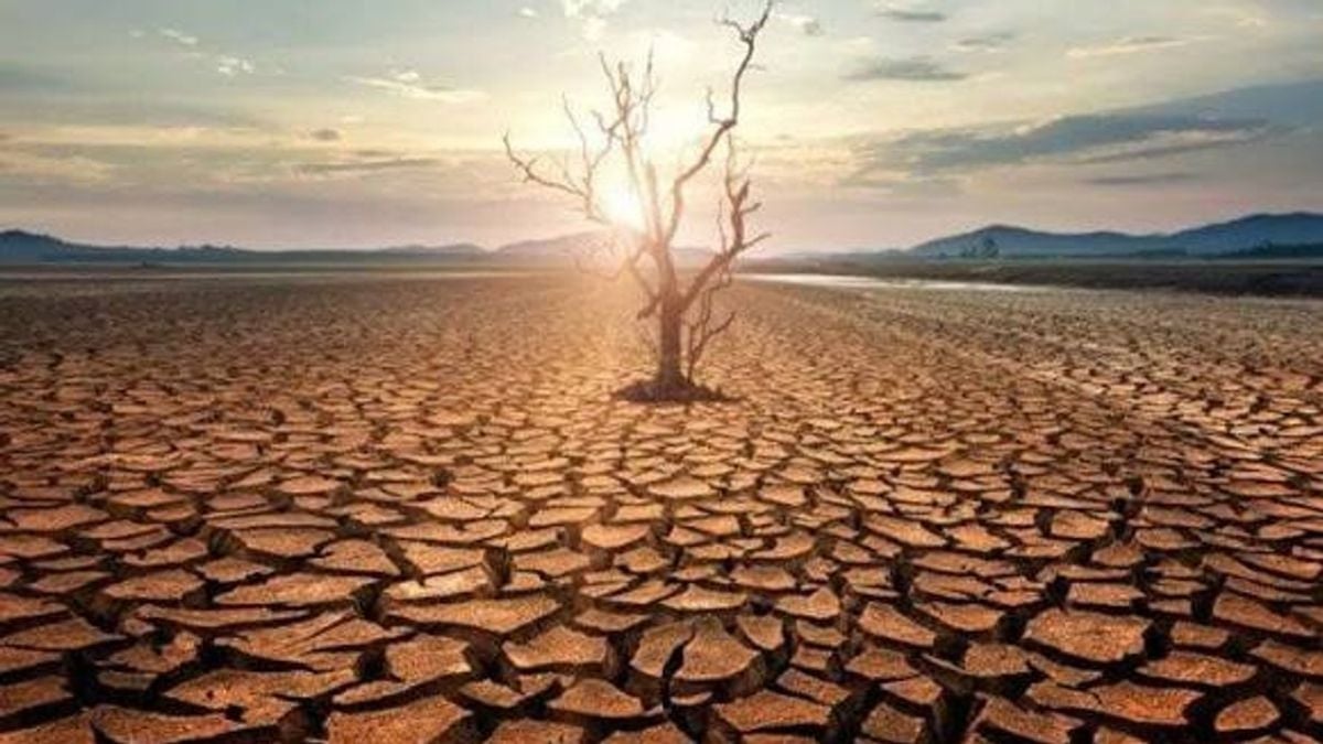 الأمم المتحدة تحذر من ارتفاع حرارة الأرض لأكثر من 1.5 درجة مئوية
