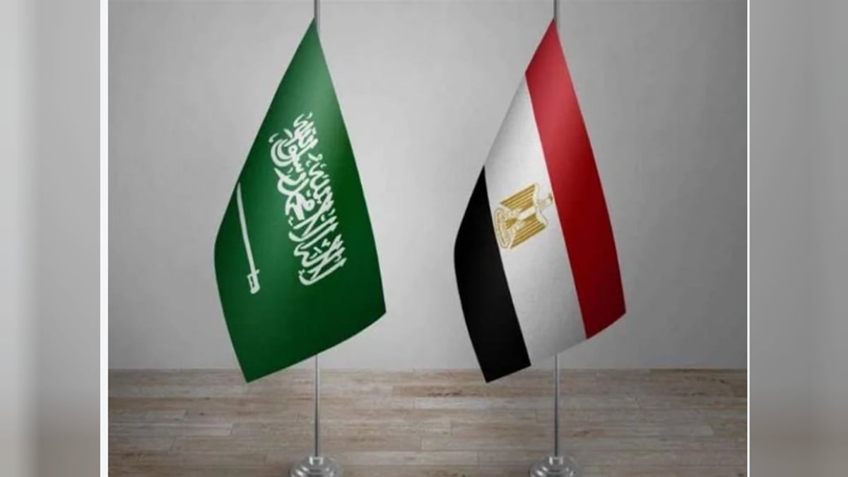 التبادل التجاري بين السعودية ومصر يتجاوز 82 مليار دولار خلال خمس سنوات