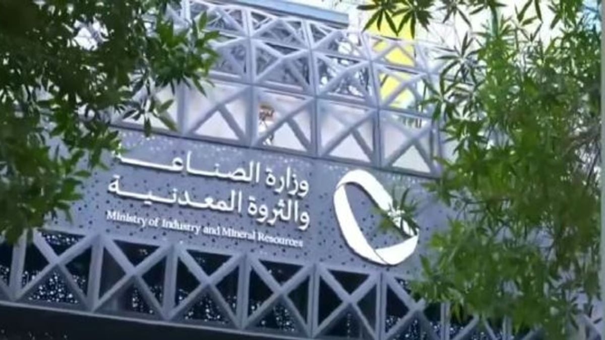 الصناعة الوطنية تتوسع بفضل برامج التحفيز والدعم