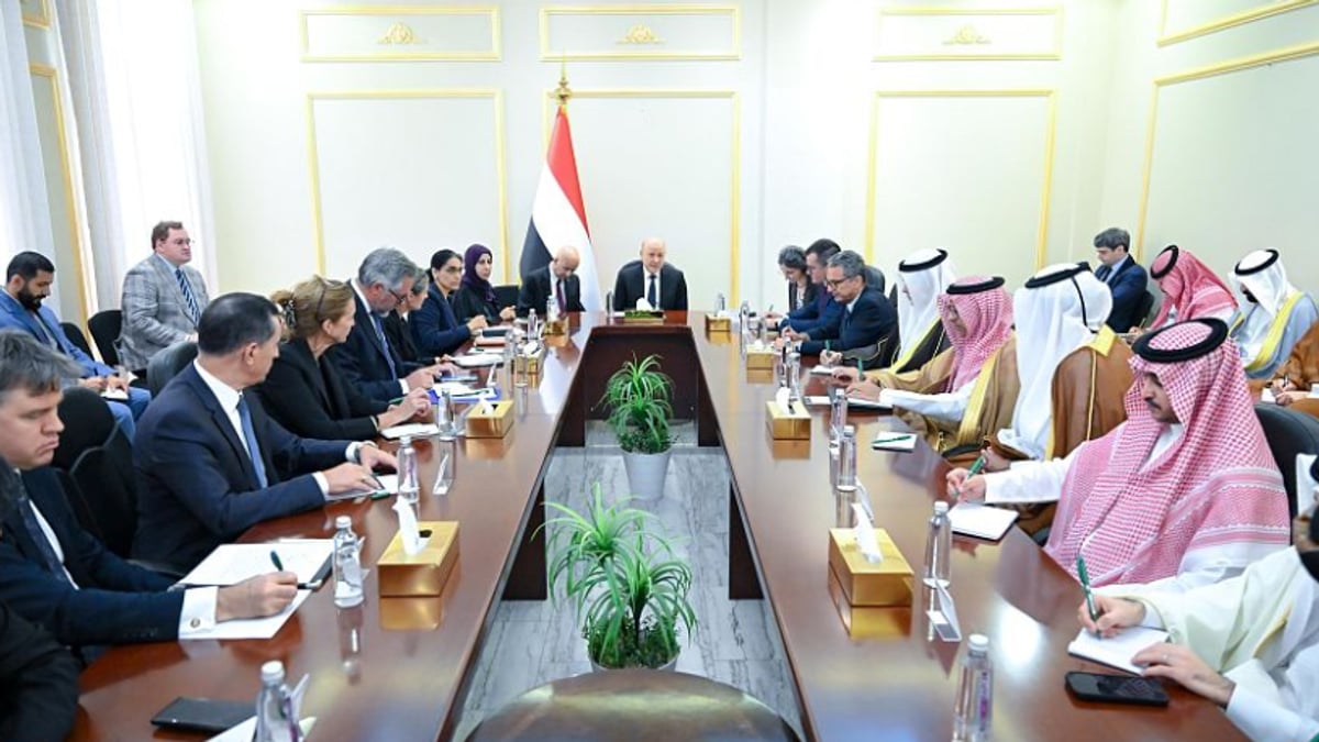 العليمي: لا مساواة بين المعتدي والمدافع عن المواطنين