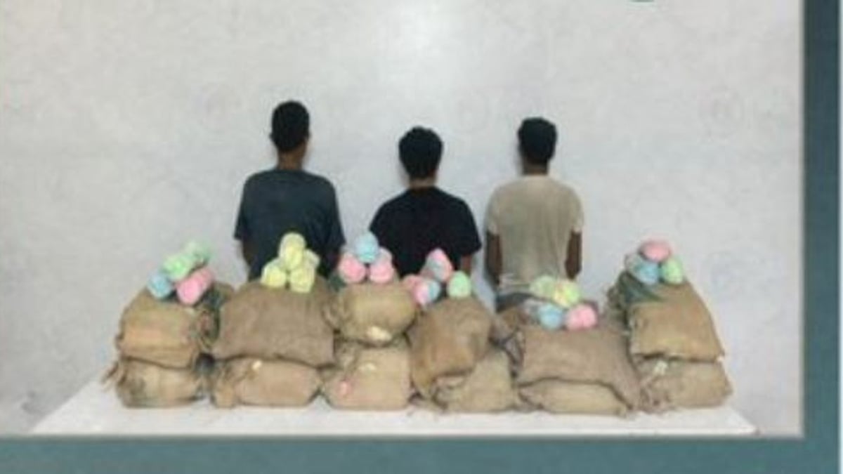 القبض على 3 يمنيين لتهريب 105 كيلوجرامات من القات في جازان