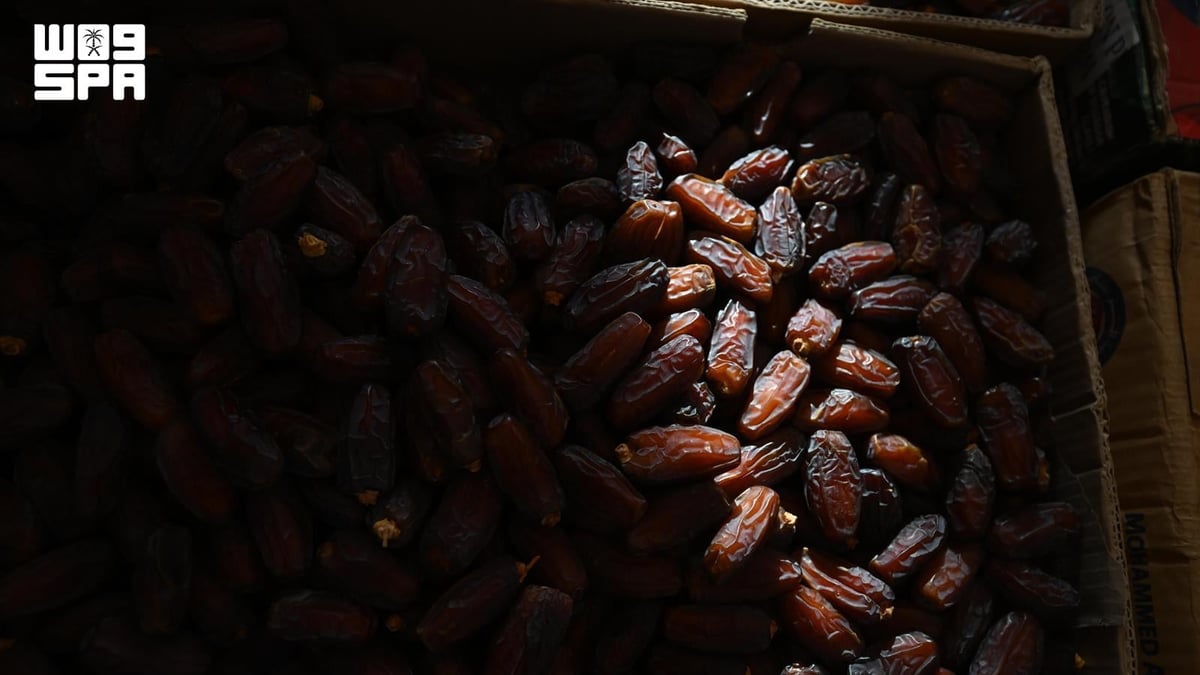 الهيئة الملكية للعلا تطلق موسم العلا السابع للتمور