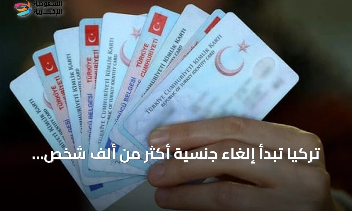 تركيا تسحب جنسية 1070 شخصاً لصفقات عقارية وهمية