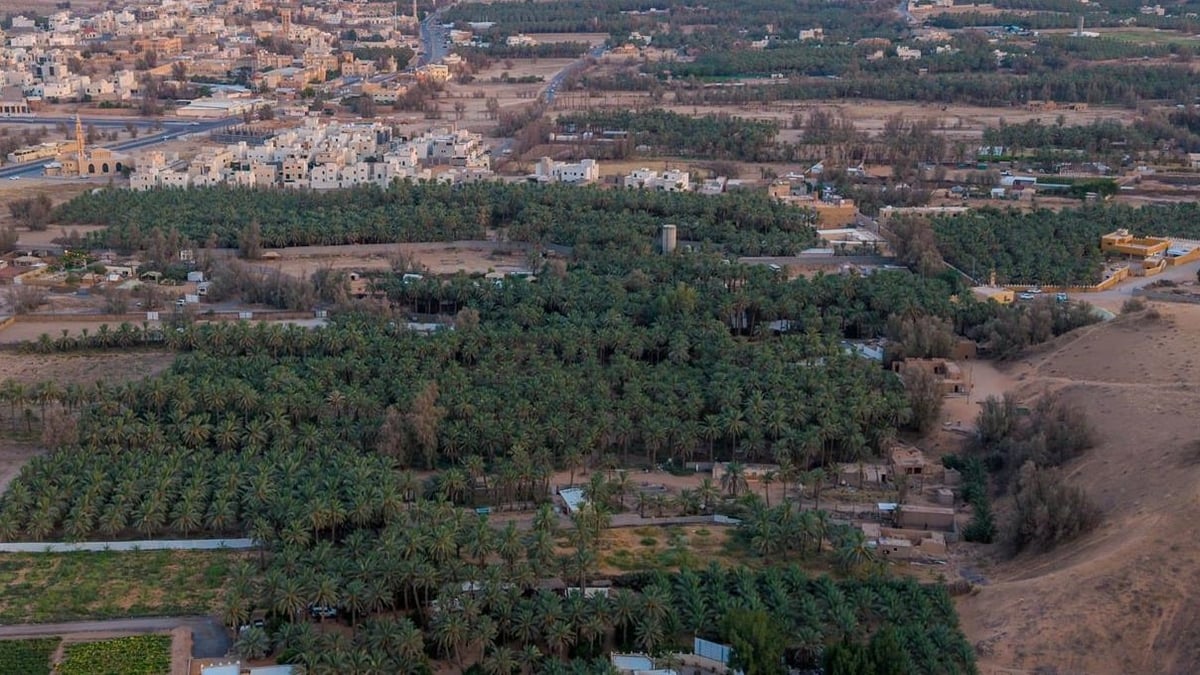 خبوب بريدة حكاية الأرض والإنسان في قلب القصيم