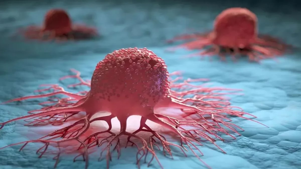 سلاح جديد يظهر فعالية في محاربة السرطان وتقليل خطر الوفاة