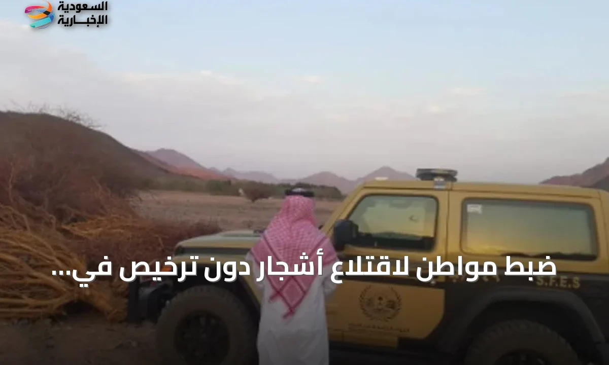 توقيف شخص بالمدينة المنورة لاقتلاع أشجار وغرامة تصل لـ 20 ألف ريال