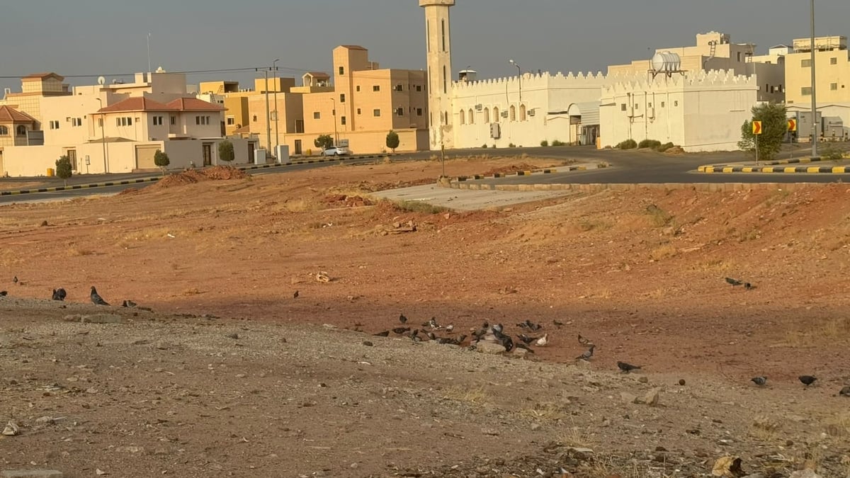 غياب حاويات “حفظ النعمة” في أحياء البكيرية وأمانة القصيم تتجاهل الرد