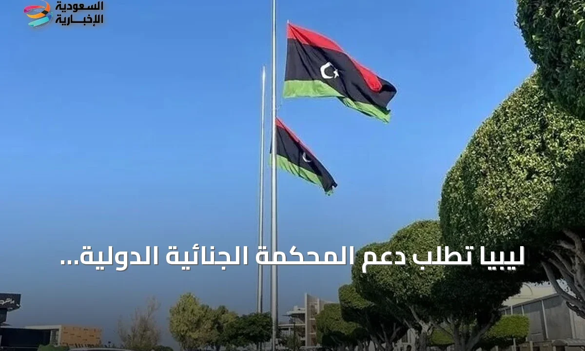 المجلس الرئاسي الليبي يستعين بالجنائية الدولية للتحقيق في هجمات المسيرات