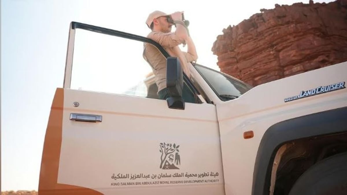 محمية الملك سلمان تمنع الصيد في مناطقها للحفاظ على البيئة