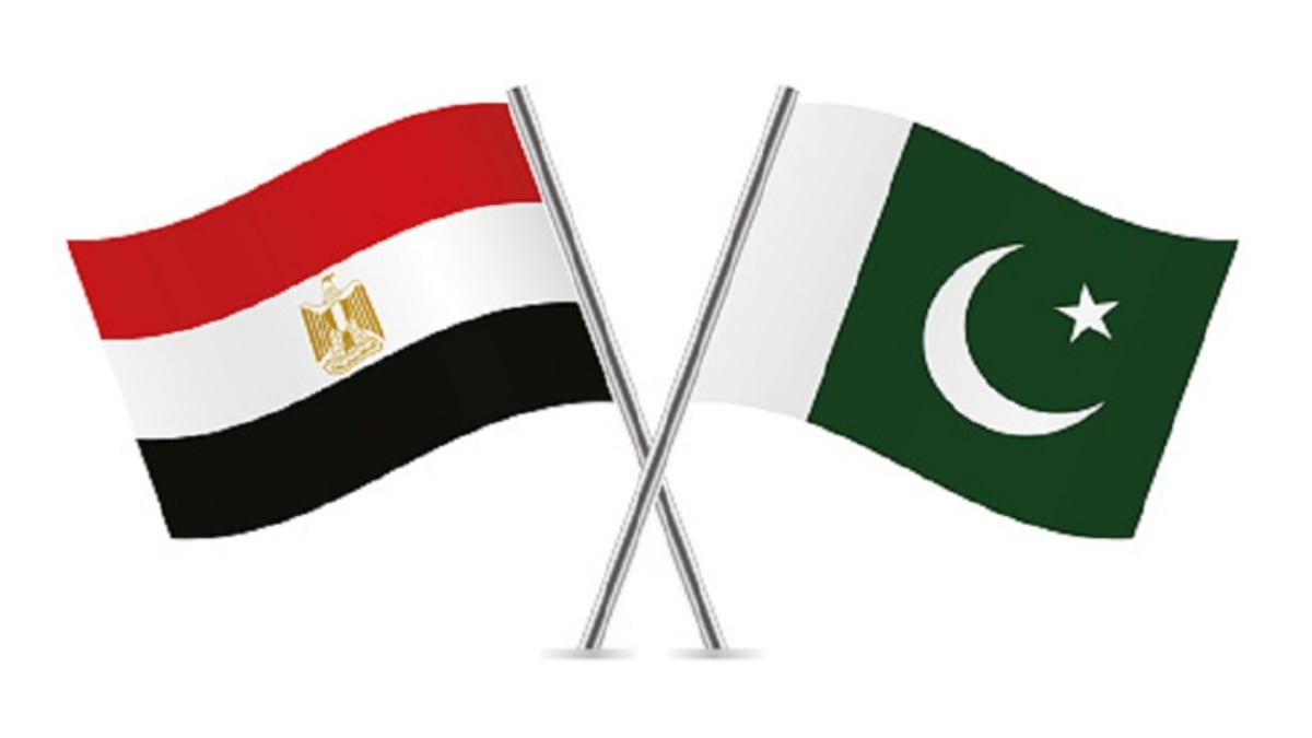 مصر وباكستان تتعاونان في تنسيق التطورات الإقليمية
