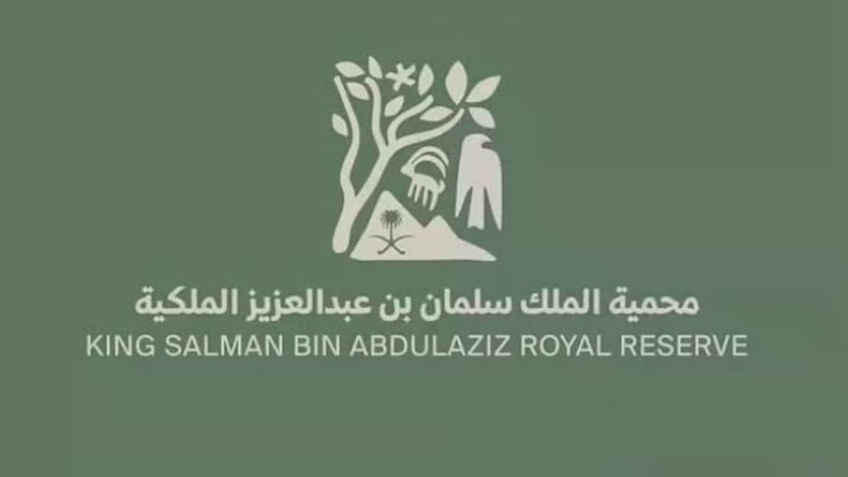 نجاح محمية الملك سلمان في استعادة النسور المهددة بالانقراض
