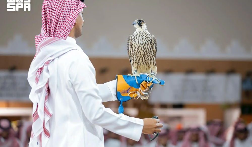 مزاد المركز الوطني للصقور يشهد بيع صقر الحماد بـ 101 ألف ريال
